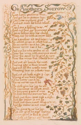 Chansons d
